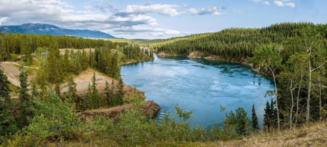 Yukon River at Schwatka Lake and the entry to Miles Canyon, not far from Whitehorse, Yukon, Canada.