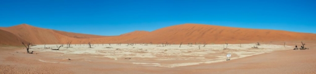 Panoramic view of Deadvlei with the dead camel thorn (Vachellia erioloba), Namib-Naukluft Park, Namibia.