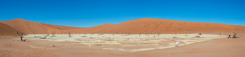 Panoramic view of Deadvlei with its dead camel thorns (Vachellia erioloba), Namib-Naukluft Park, Namibia.