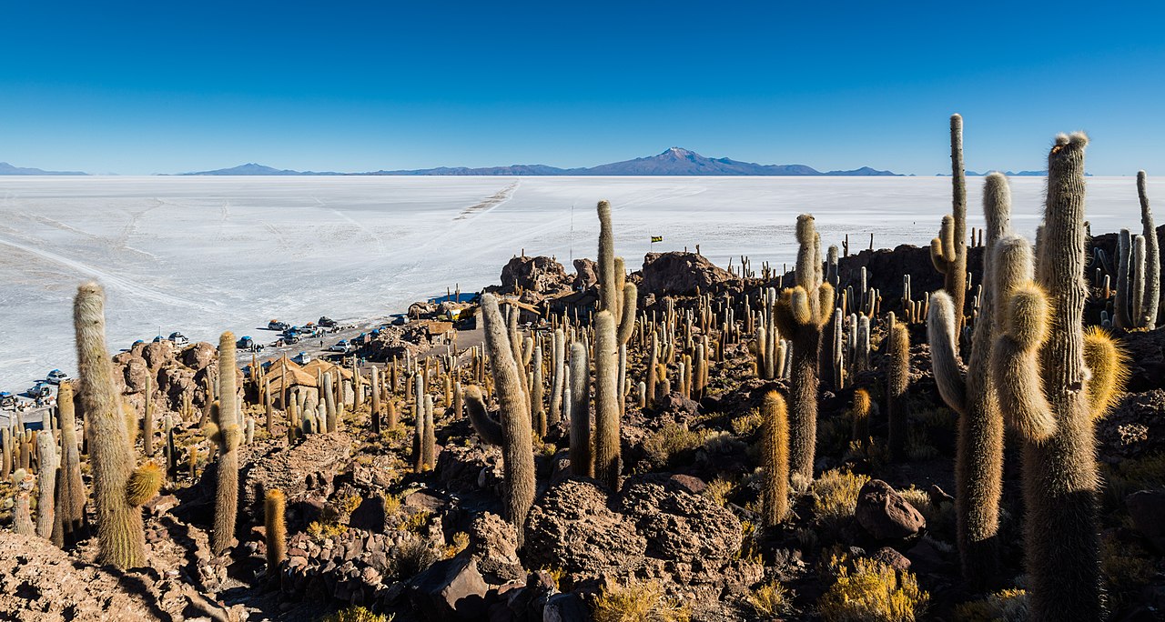 Salar de Uyuni, the surrounding mountains and giant cactuses (Echinopsis atacamensis) in Incahuasi island, southwest Bolivia.