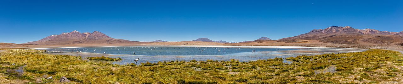 Panoramic view of Cañapa Lake, an endorheic salt lake in the Potosí Department of southwestern Bolivia.