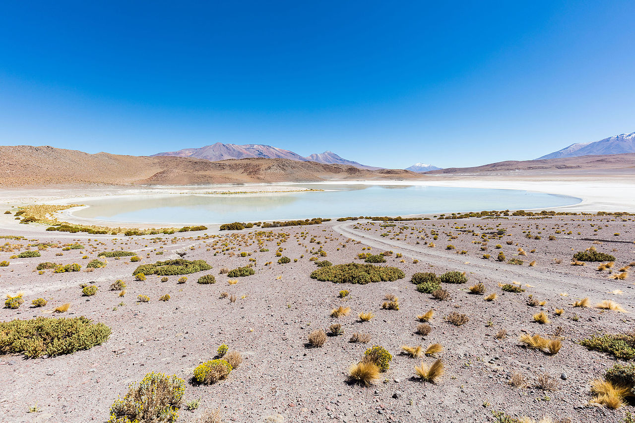 Laguna Honda (in English "Deep Lagoon"), a salt lake located at 4,114 m (13,497 ft) over the sea level, Bolivia.
