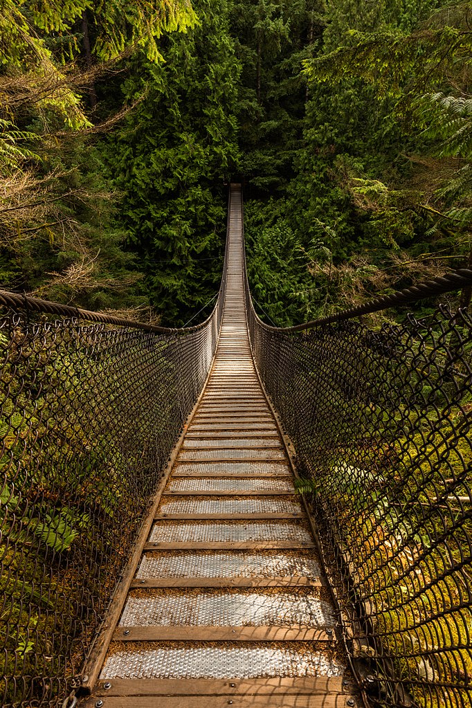 Lynn Canyon Suspension Bridge, Lynn Canyon Park, Vancouver, Canada.