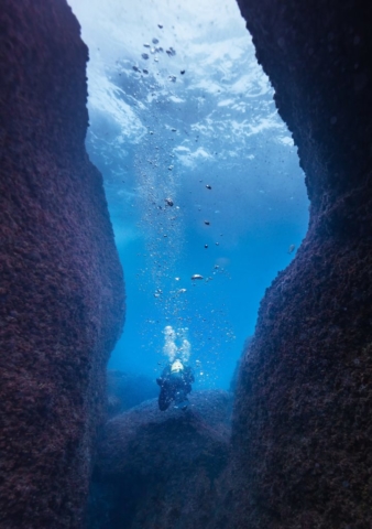 Diver below Corbera Island, Santander, Spain